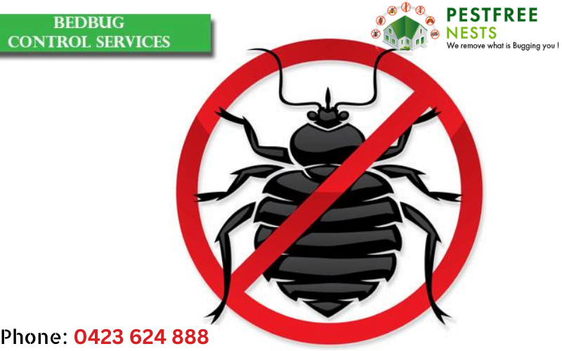 Bed Bugs control- signs and precautions