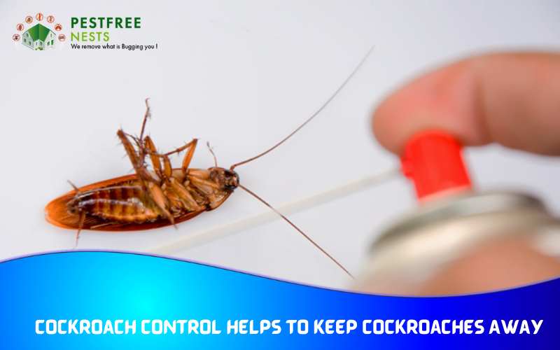 Cockroach Control Helps To Keep Cockroaches Away