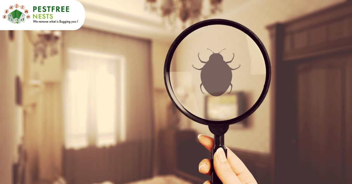 When do you think its time to call for Bed Bug Control in Melbourne?