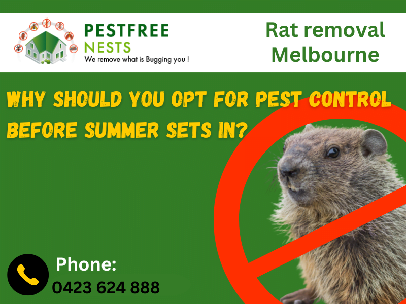 Why Should You Opt For Pest Control Before Summer Sets In