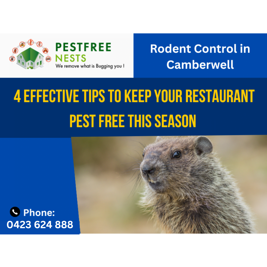 4 Effective Tips To Keep Your Restaurant Pest Free This Season