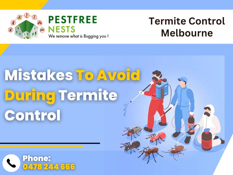 Mistakes To Avoid During Termite Control