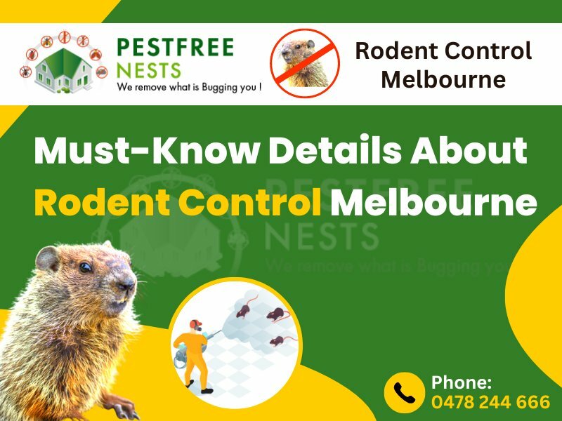 Must-Know Details About Rodent Control Melbourne