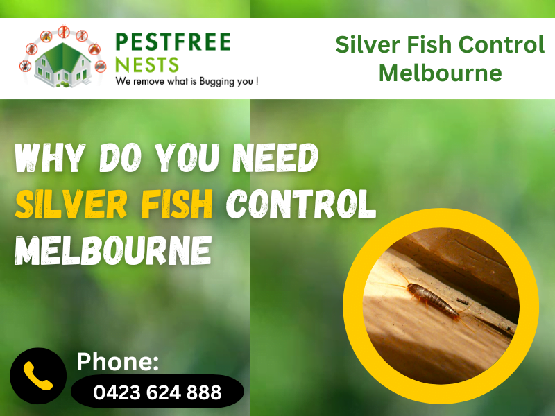 Why Do You Need Silver Fish Control Melbourne