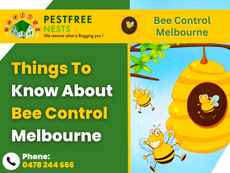 Bee Control Melbourne