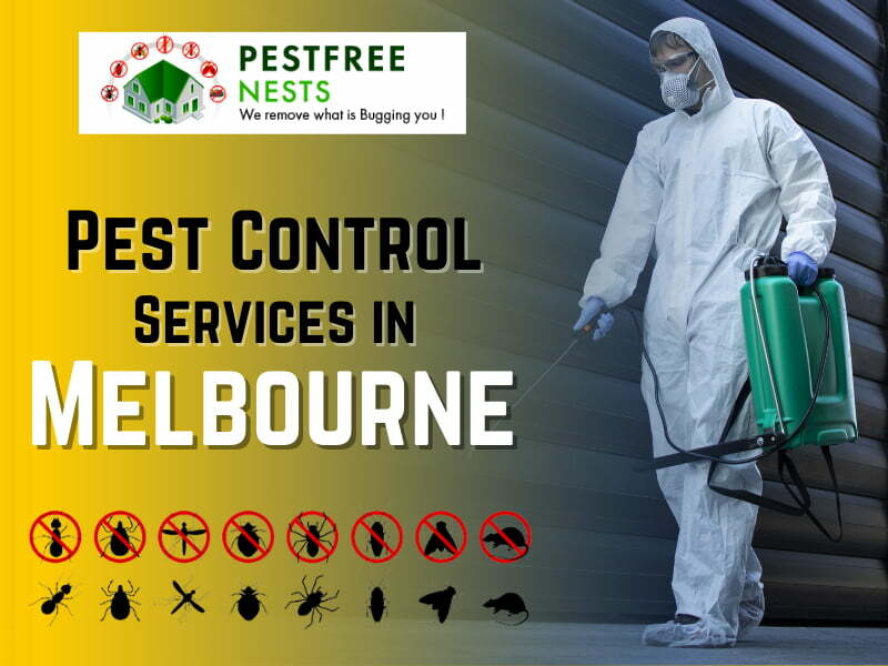 Effective Pest Control Services in Melbourne – Suburbs and neighbourhoods