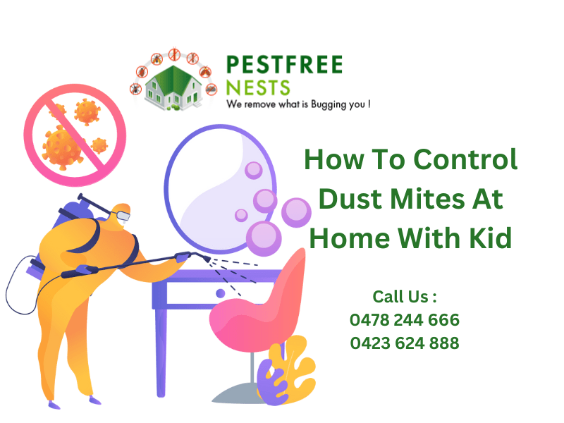 How To Control Dust Mites At Home With Kids