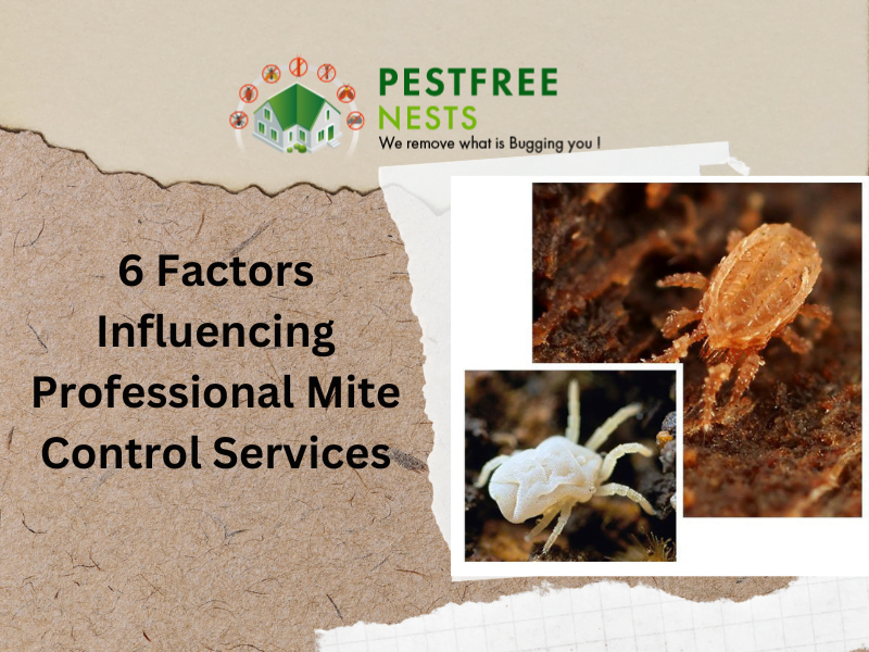 6 Factors Influencing Professional Mite Control Services