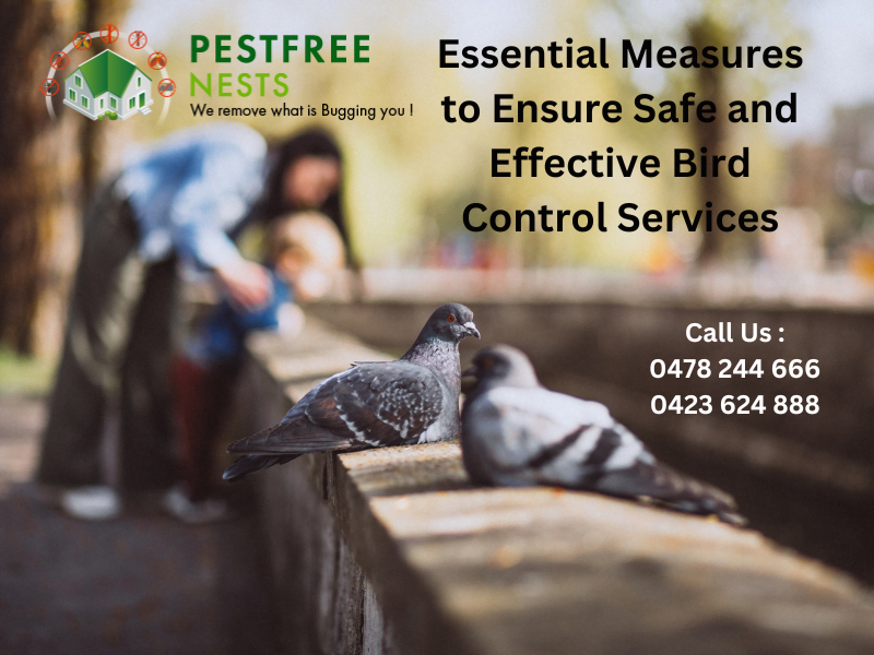 Essential Measures To Ensure Safe And Effective Bird Control Services