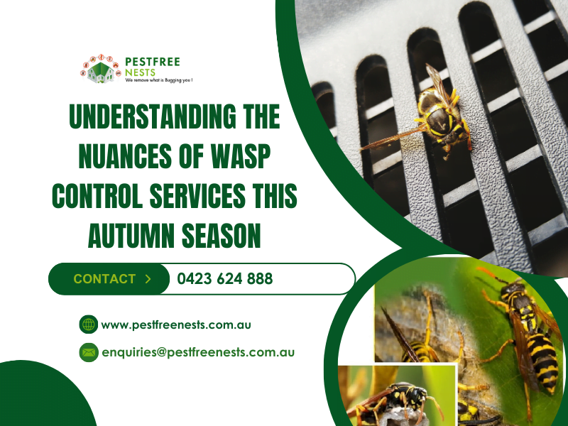 Understanding The Nuances Of Wasp Control Services This Autumn Season