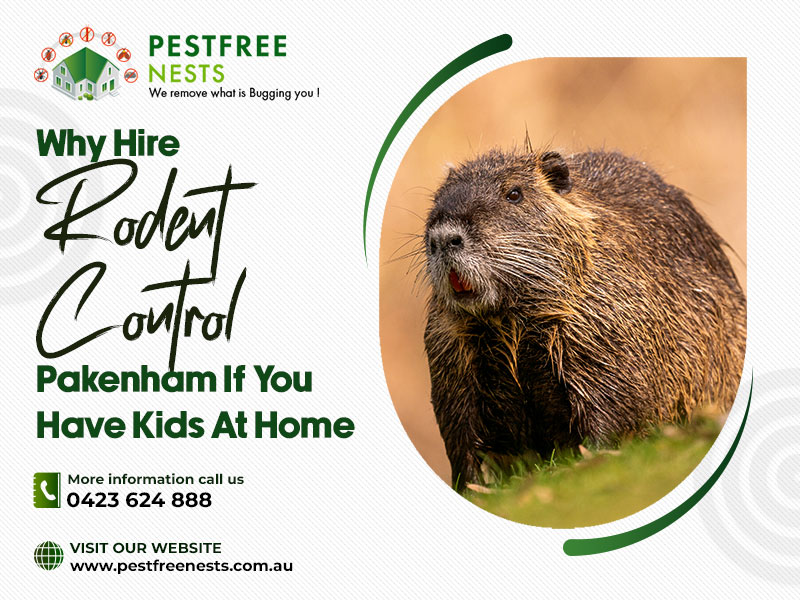 Why Hire Rodent Control Pakenham If You Have Kids At Home