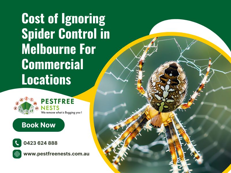 Cost of Ignoring Spider Control in Melbourne For Commercial Locations