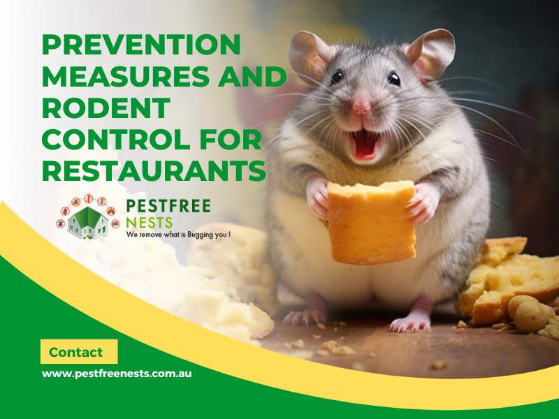 Prevention Measures And Rodent Control For Restaurants