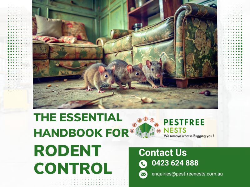 The Essential Handbook For Rodent Control In Pakenham