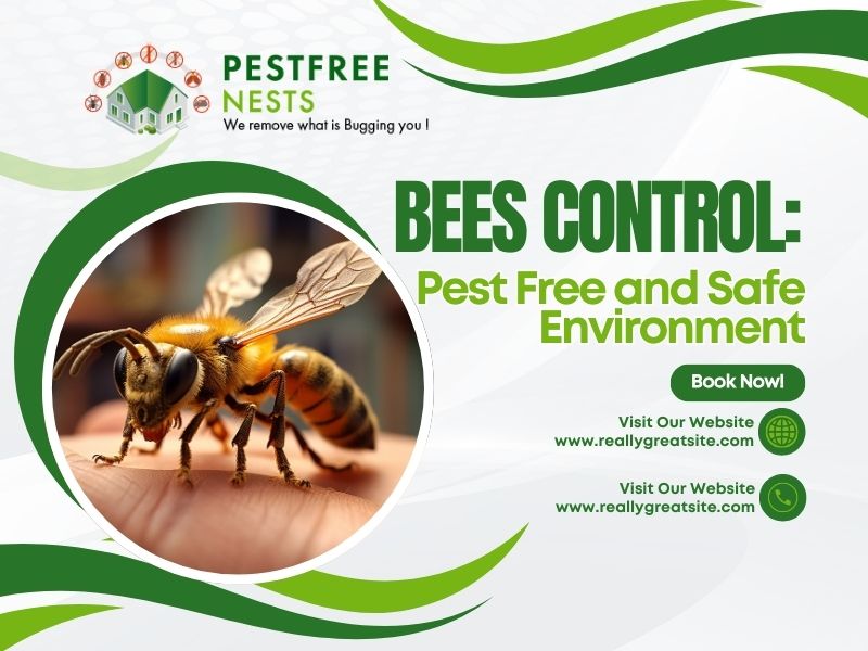 Pakenham Bees Control: Pest Free And Safe Environment