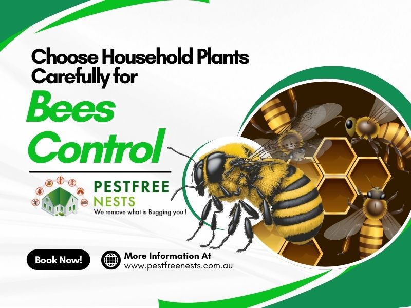 Choose Household Plants Carefully For Bees Control